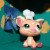 Piggy the cook looks happy.