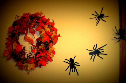 Martha Stewart's spider's climb the wall.