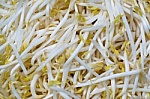 Beansprouts add crunch and flavor