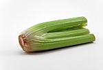 Celery