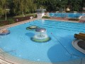 Fresh Water Pool or Salt Water Pool
