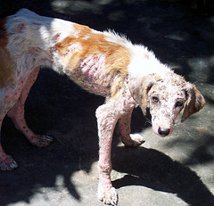 Photo by:  http://www.flickr.com/people/amazoncares/