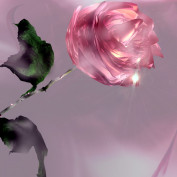 Im Content profile image