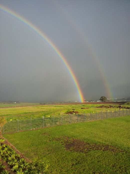 A change of seasons is like a new beginning...four times a year!