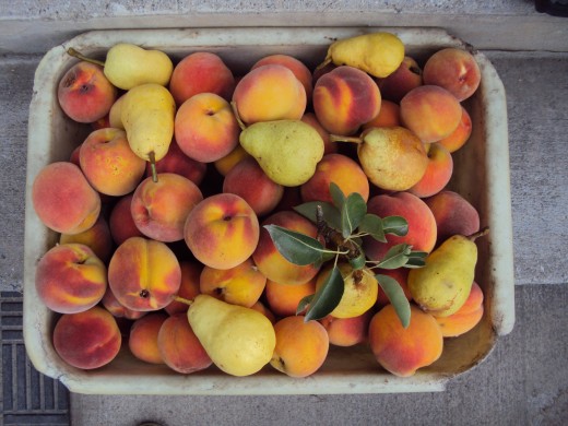 such as peaches, apricots...