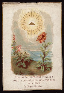 As a flower turned to the SON