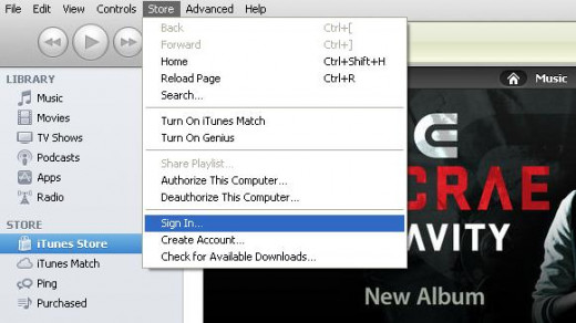 Click "Store" and then click "Sign In."