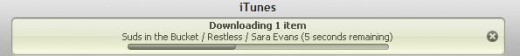 You can see the content being downloaded in the box at the top of the iTunes program window.