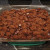 Fully cooked and smells sooo good!