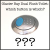 Glacier Bay Dual Flush Toilet Blue Button; What's it For? Which Button is Which?