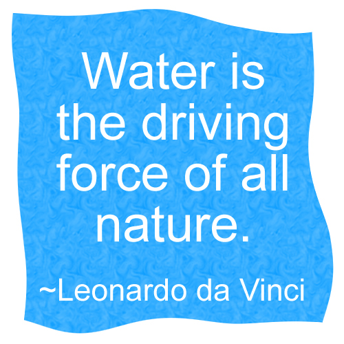 Leonardo da Vinci Quote