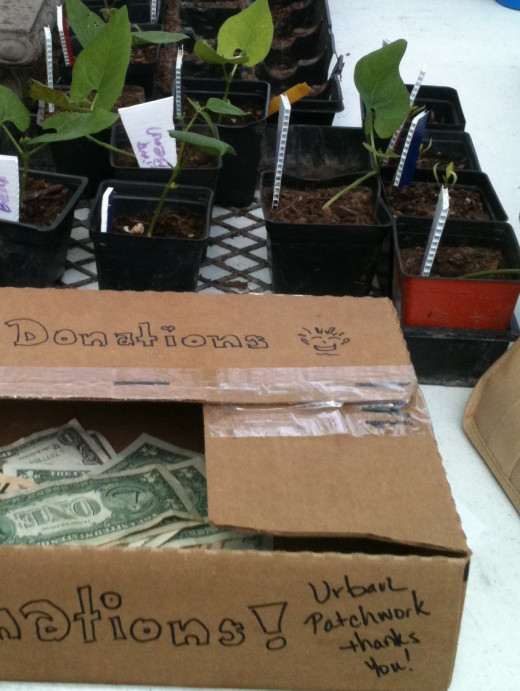 This group held a plant sale to raise money for a gardening project. 