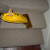 Vacuuming the Stairs with Eureka Boss Superbloom Vacuum Cleaner Vacuuming the Stairs with Eureka Boss Superbloom Vacuum Cleaner
