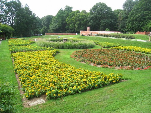 A beautiful garden after cleaning service performed