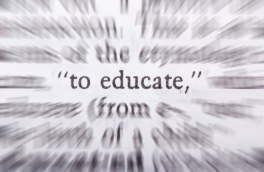 Company trainers facilitate learning. 