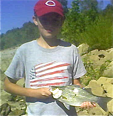 Bigger Hybrid Striped Put Up A Great Fight on Medium Tackle. Bigger Hybrid Striped Put Up A Great Fight on Medium Tackle.