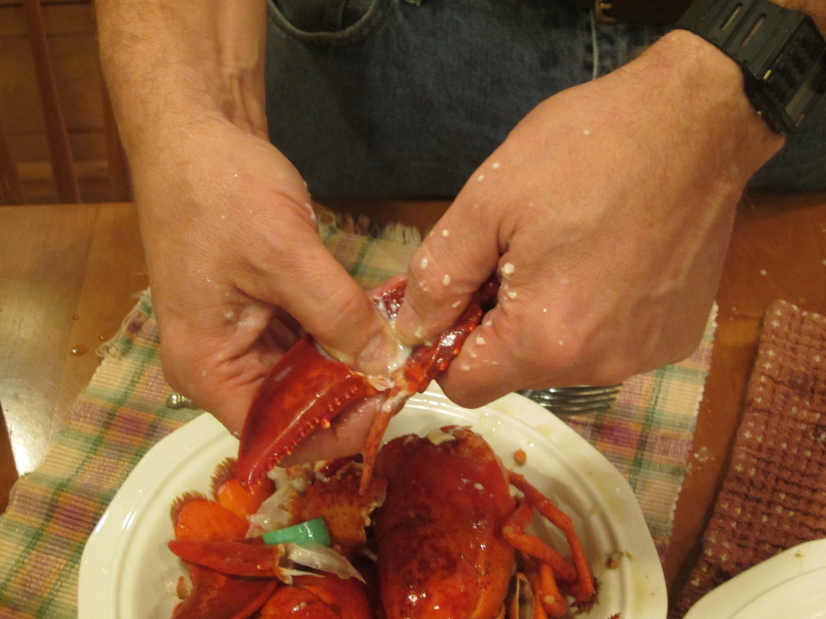 Crack the shell of the claw arm with your fingers or the crackers and remove the meat.