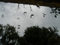 Raindrops: A Poem