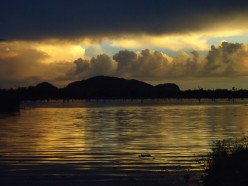http://s2.hubimg.com/u/7166769_f248.jpg