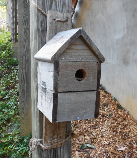 These simple bluebird houses have a rustic appeal and are made from recycled shipping pallets.