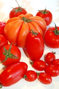 Fresh tomatoes make the sauce
