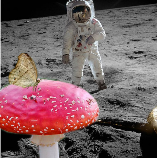 A Three Image Merge