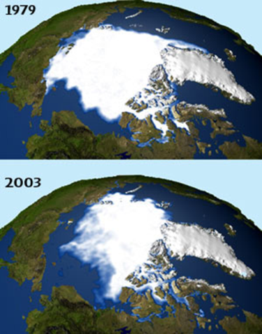 The severe declination of Arctic ice