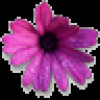 KNH profile image