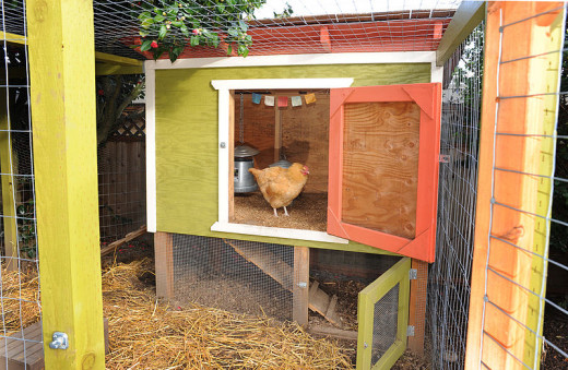 A colorful chicken coup