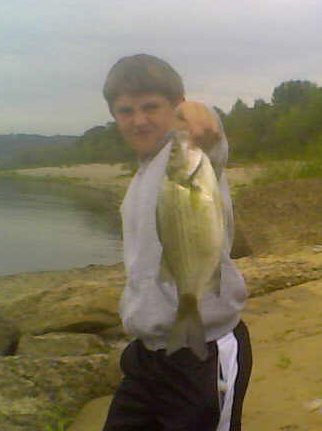 This plump, healthy class of hybrid striped bass is thriving in the downriver release of Markland Dam on the Ohio River. This plump, healthy class of hybrid striped bass is thriving in the downriver release of Markland Dam on the Ohio River.