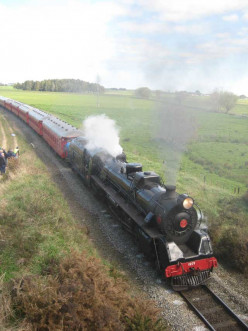 The Gorge Explorer: A Steam Train Excursion in New Zealand