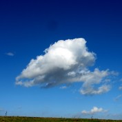 Cloud Watcher profile image
