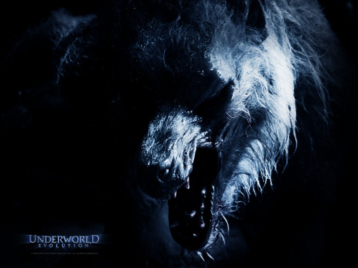 Werewolf from Underworld Revolution