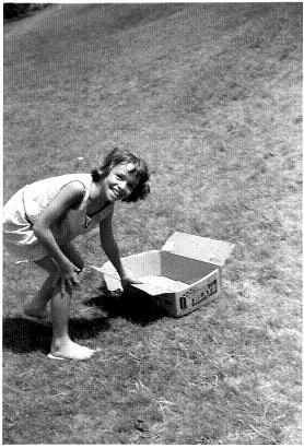 When we were kids, one of my uncles took us to Fort Meigs in Perrysurgh, Ohio to slide down the big hill with nothing but boxes.  It was a blast.