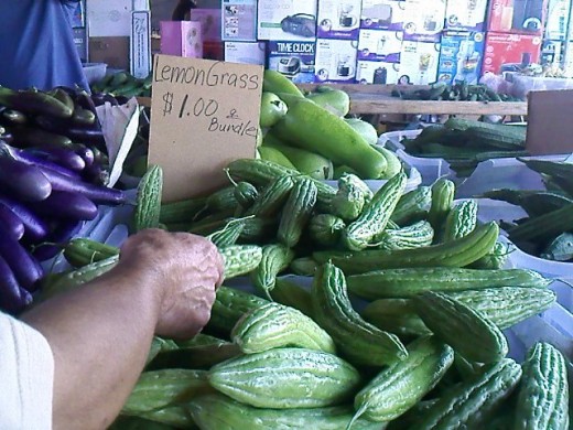 Bittermelons, bottle gourd and sponge gourd.