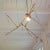 Untitled. Medium: Oak, lightbulb Untitled. Medium: Oak, lightbulb