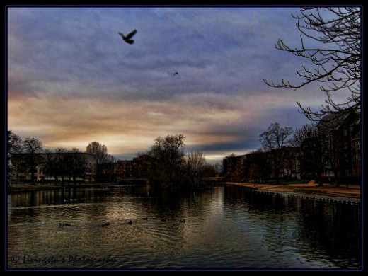 Cold winter evening ! By the River great Ouse, Bedford, England