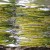 Check on the asparagus in 4-5 minutes Check on the asparagus in 4-5 minutes