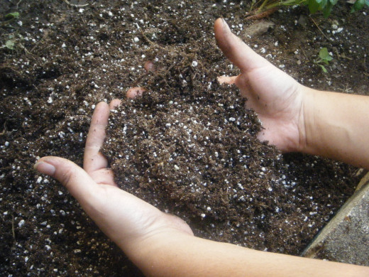 Soil type and content heavily determines a plant's health. 
