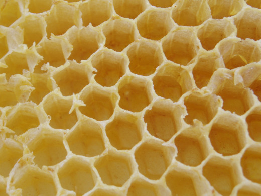 Honey comb