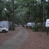 Best RV Snowbird Camping Destinations : Jekyll Island Campground