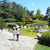 Japanese Friendship Garden San Jose CA Japanese Friendship Garden San Jose CA