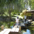 People Walking on A Bridge in Japanese Friendship Garden San Jose CA People Walking on A Bridge in Japanese Friendship Garden San Jose CA