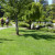 Japanese Friendship Garden San Jose CA Japanese Friendship Garden San Jose CA