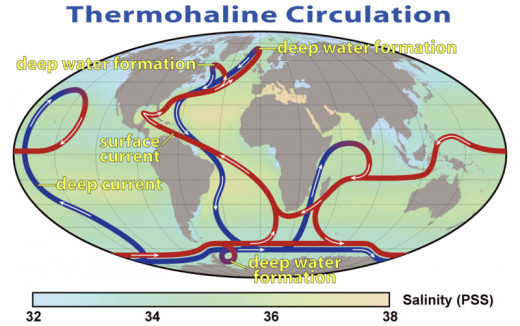 This map shows the pattern of thermohaline circulation also known as "meridional overturning circulation". This collection of currents is responsible for the large-scale exchange of water masses in the ocean, including providing oxygen to the deep oc