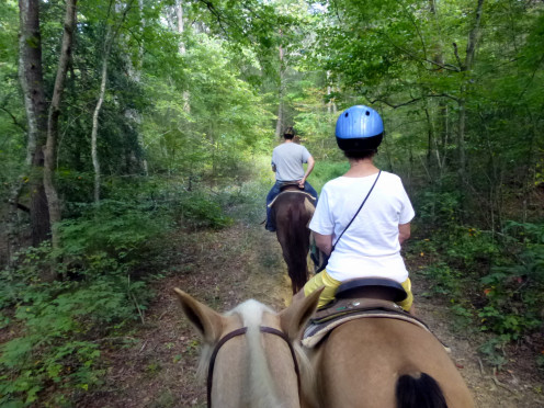 Riding through the woods