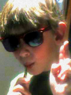 Digesting Daniel : 