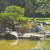 Japanese Friendship Garden San Jose CA Japanese Friendship Garden San Jose CA