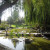 Scenery in Japanese Friendship Garden San Jose CA Scenery in Japanese Friendship Garden San Jose CA