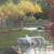 An Egret in Japanese Friendship Garden San Jose CA An Egret in Japanese Friendship Garden San Jose CA